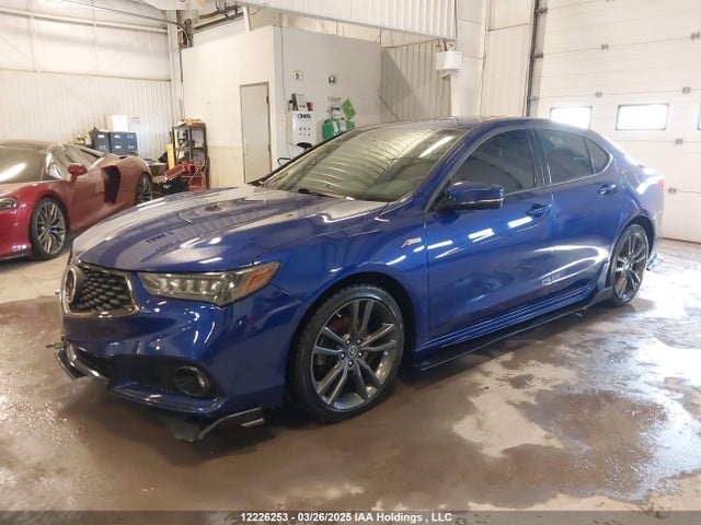 19UUB1F60KA800504 Acura k24w7