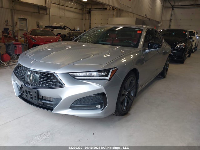 19UUB6F51MA802222 Acura k20c6