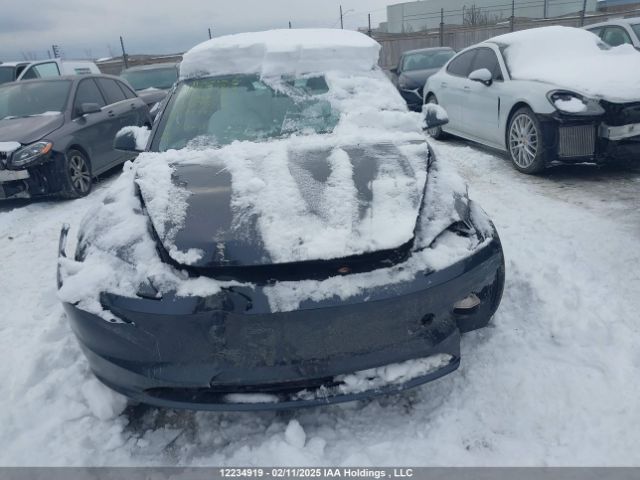LRW3E7FA4RC089927 Tesla MODEL 3