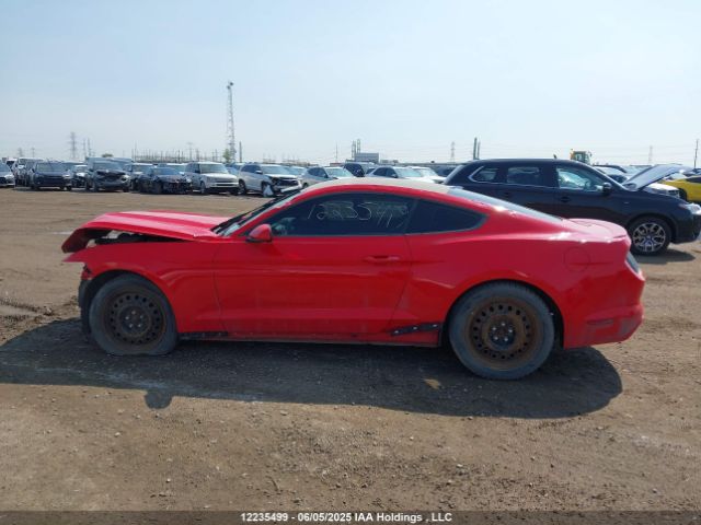 1FA6P8AM1G5305502 Ford Mustang V6