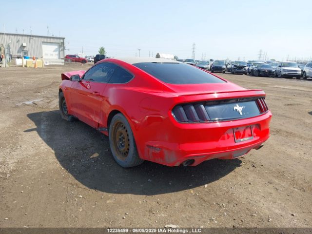 1FA6P8AM1G5305502 Ford Mustang V6