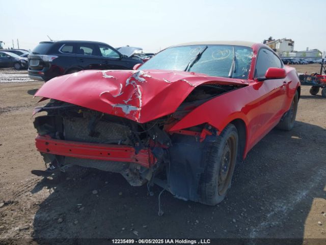 1FA6P8AM1G5305502 Ford Mustang V6