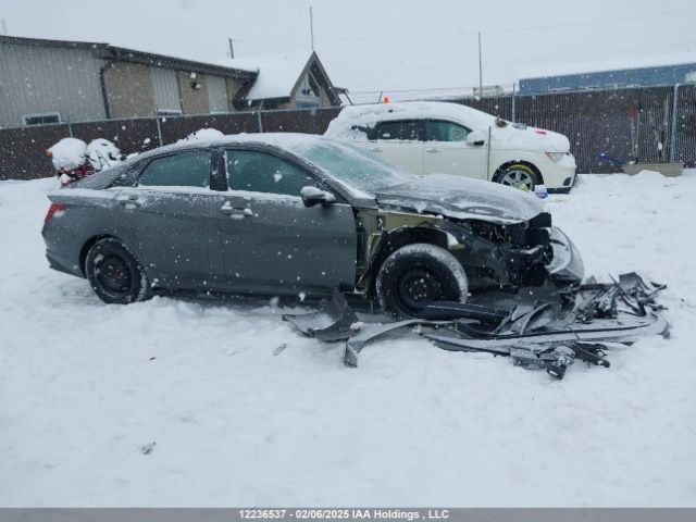 KMHLN4AG8PU627688 Hyundai ELANTRA SEL