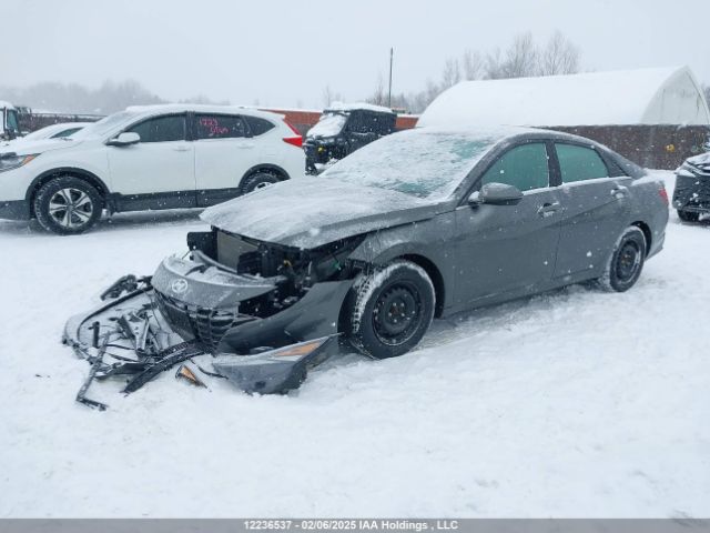 KMHLN4AG8PU627688 Hyundai ELANTRA SEL