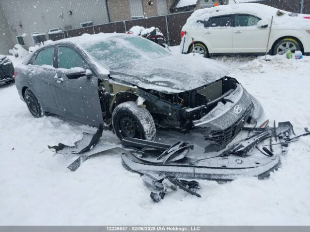 KMHLN4AG8PU627688 Hyundai ELANTRA SEL