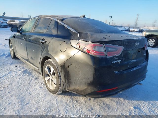 KNAGM4AD4G5094342 KIA OPTIMA HYBRID