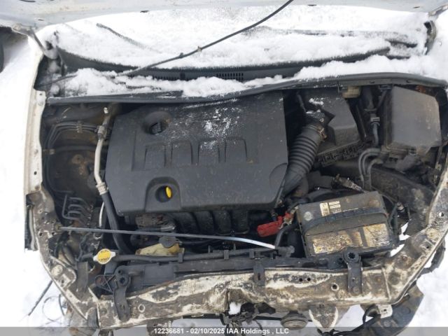 2T1BURHE5EC101288 Toyota Corolla L/le/le Pls/prm/s/s Pls