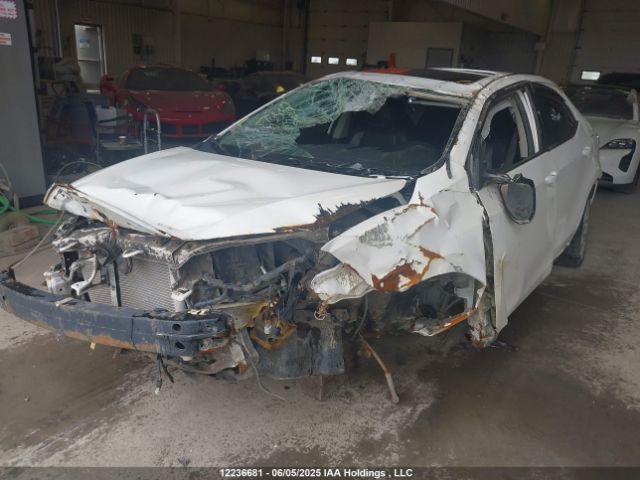 2T1BURHE5EC101288 Toyota Corolla L/le/le Pls/prm/s/s Pls