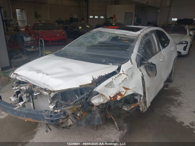 2T1BURHE5EC101288 Toyota Corolla L/le/le Pls/prm/s/s Pls