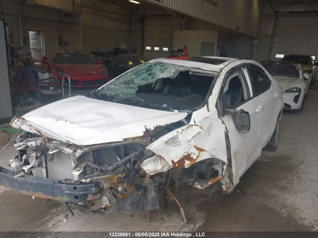 2T1BURHE5EC101288 Toyota Corolla L/le/le Pls/prm/s/s Pls