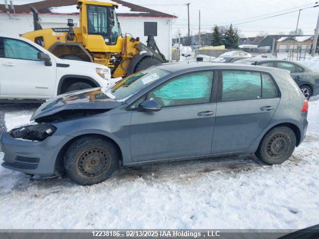 3VW217AU3FM032007 Volkswagen 2015