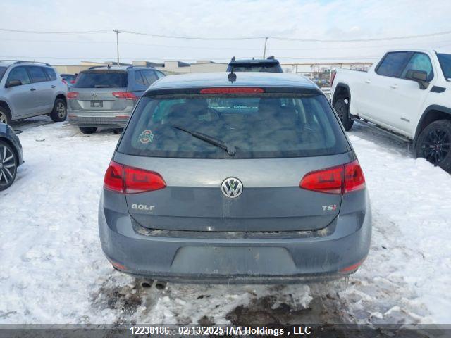3VW217AU3FM032007 Volkswagen 2015