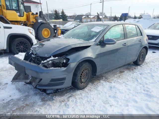 3VW217AU3FM032007 Volkswagen 2015