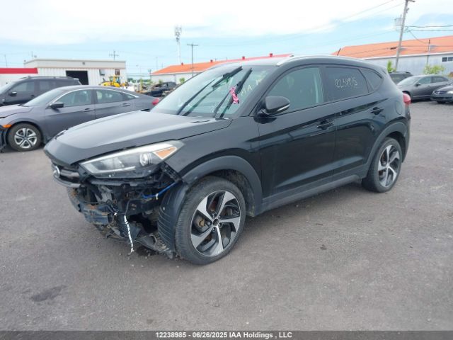 KM8J3CA29GU246881 Hyundai 2016