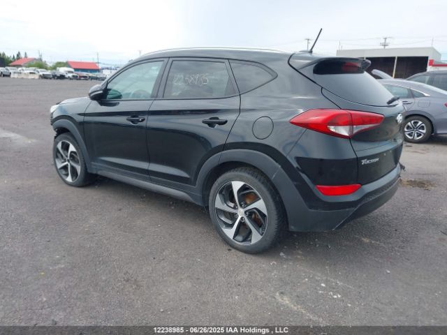 KM8J3CA29GU246881 Hyundai 2016