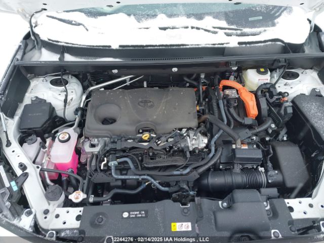 2T3RWRFV3RW248703 Toyota Rav4 Xle/woodland Edition