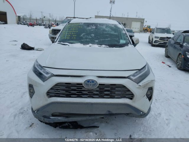 2T3RWRFV3RW248703 Toyota Rav4 Xle/woodland Edition