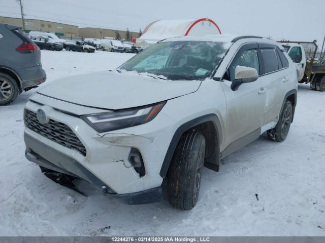 2T3RWRFV3RW248703 Toyota Rav4 Xle/woodland Edition