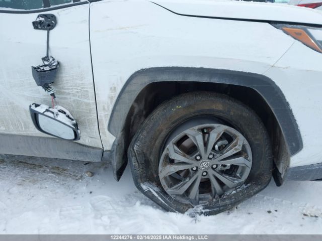 2T3RWRFV3RW248703 Toyota Rav4 Xle/woodland Edition