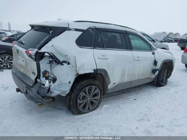 2T3RWRFV3RW248703 Toyota Rav4 Xle/woodland Edition