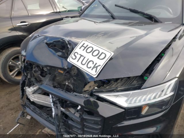 WA1FVAF18KD032010 Audi Q8 55 Technik