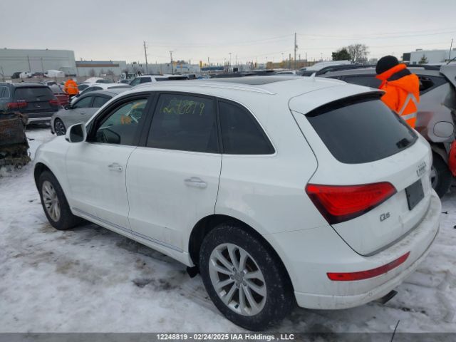 WA1LFCFP8FA084325 Audi Q5 Premium Plus