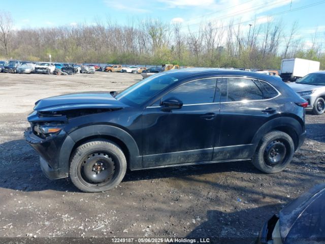 3MVDMBDM3RM688602 Mazda CX-30
