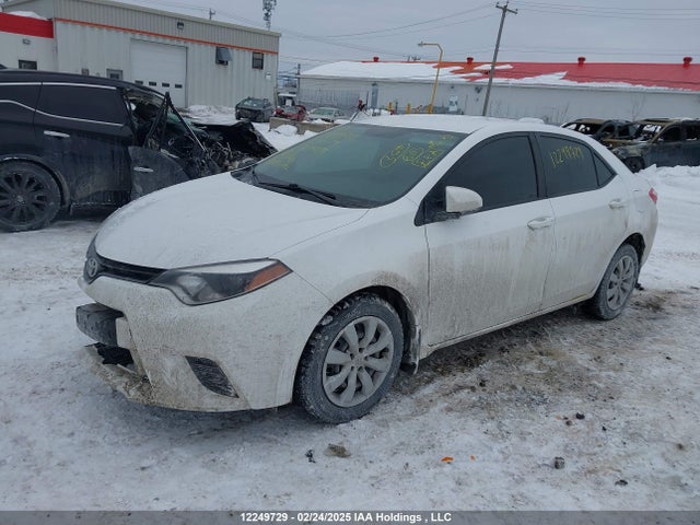 2T1BURHE9GC626891 Toyota Corolla