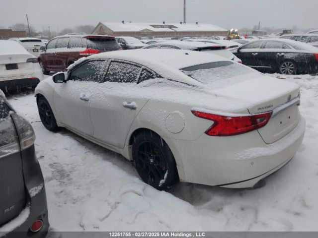 1N4AA6AP0HC437075 Nissan Maxima