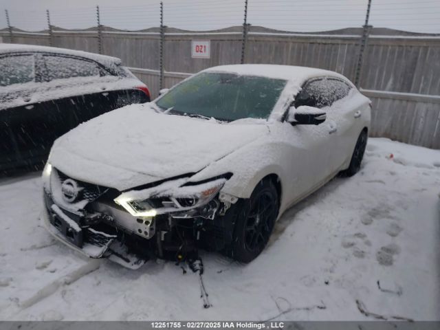 1N4AA6AP0HC437075 Nissan Maxima