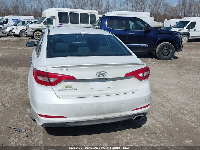5NPE24AFXHH511787 Hyundai Sonata