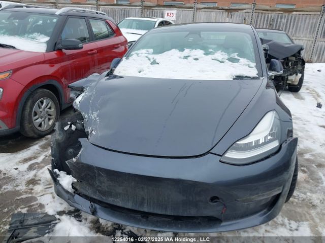 5YJ3E1EA9LF789843 Tesla MODEL 3