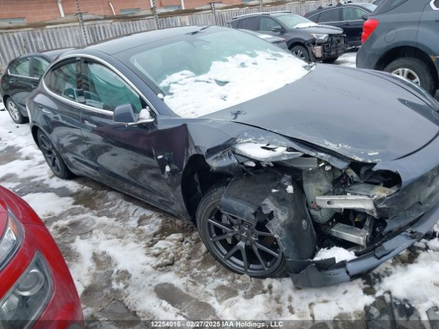 5YJ3E1EA9LF789843 Tesla MODEL 3