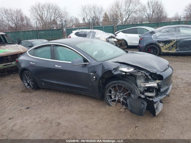 5YJ3E1EA9LF789843 Tesla MODEL 3