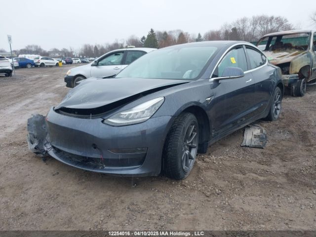 5YJ3E1EA9LF789843 Tesla MODEL 3