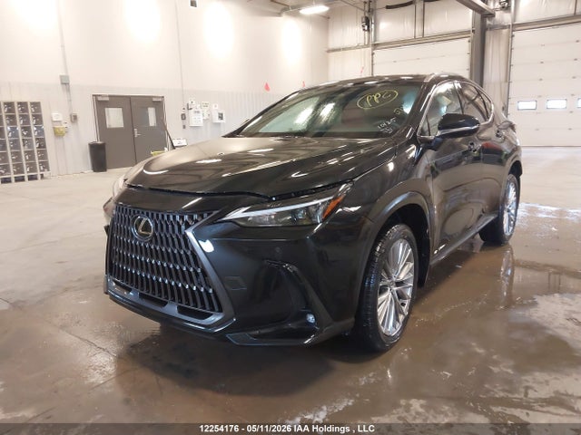2T2GKCEZ4RC028190 Lexus Nx 350h 350h