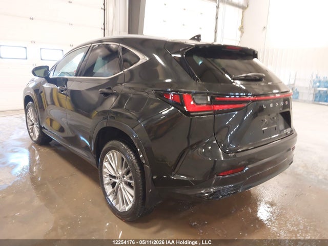 2T2GKCEZ4RC028190 Lexus Nx 350h 350h
