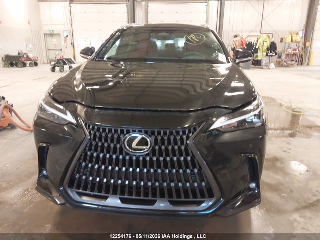 2T2GKCEZ4RC028190 Lexus Nx 350h 350h