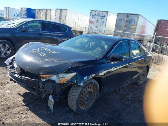 4T1BF1FK9GU111683 Toyota Camry Le/xle/se/xse