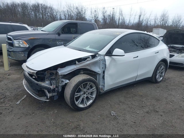 7SAYGDEE2PF781404 Tesla Model Y