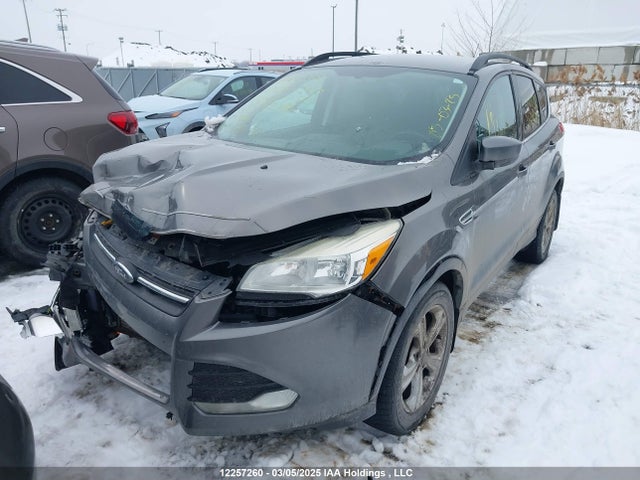 1FMCU9G94EUC12180 Ford Escape