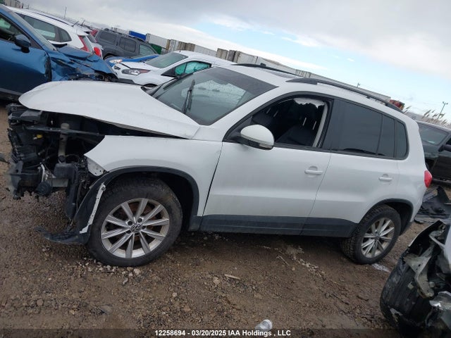 WVGJV7AX7FW557404 Volkswagen Tiguan