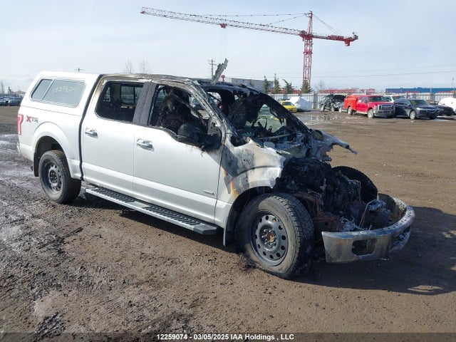 12259074 :رقم المزاد ، 1FTEW1EGXHFB55972 vin ، 2017 Ford F-150 Xlt مزاد بيع