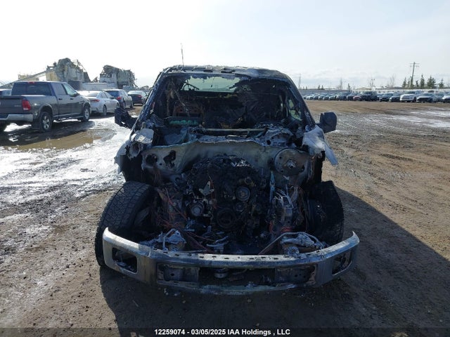 12259074 :رقم المزاد ، 1FTEW1EGXHFB55972 vin ، 2017 Ford F-150 Xlt مزاد بيع