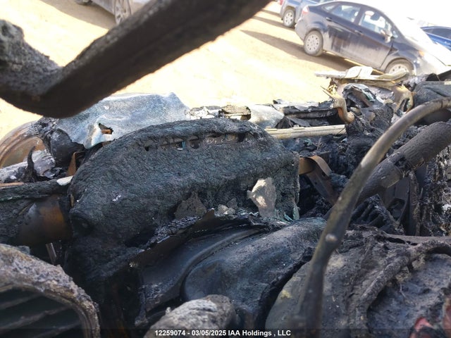 12259074 :رقم المزاد ، 1FTEW1EGXHFB55972 vin ، 2017 Ford F-150 Xlt مزاد بيع