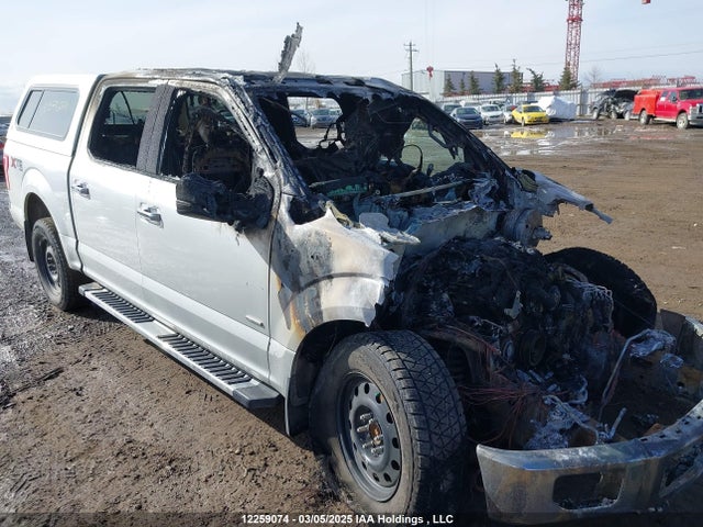 12259074 :رقم المزاد ، 1FTEW1EGXHFB55972 vin ، 2017 Ford F-150 Xlt مزاد بيع