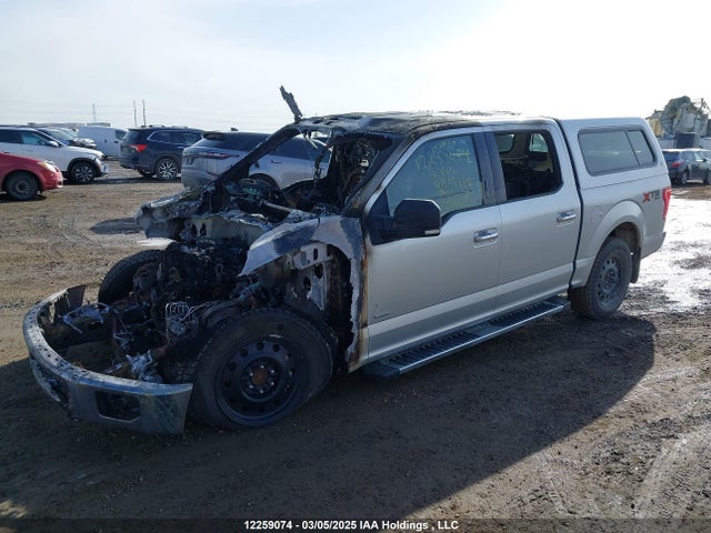12259074 :رقم المزاد ، 1FTEW1EGXHFB55972 vin ، 2017 Ford F-150 Xlt مزاد بيع