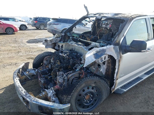 12259074 :رقم المزاد ، 1FTEW1EGXHFB55972 vin ، 2017 Ford F-150 Xlt مزاد بيع