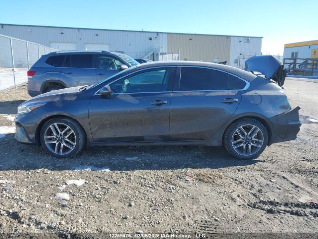 3KPF34AD9PE558182 KIA Forte Ex/ex Premium/ex+/gt-line