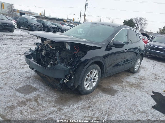 Продаж на аукціоні авто 2020 Ford Escape Se, vin: 1FMCU0G65LUA03383, номер лоту: 12259555